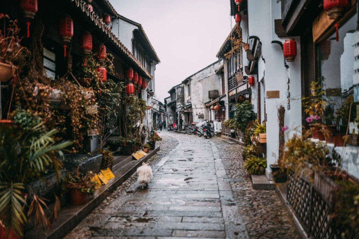 来给特打个分数，十分满分，回复里发图骗。游戏画面